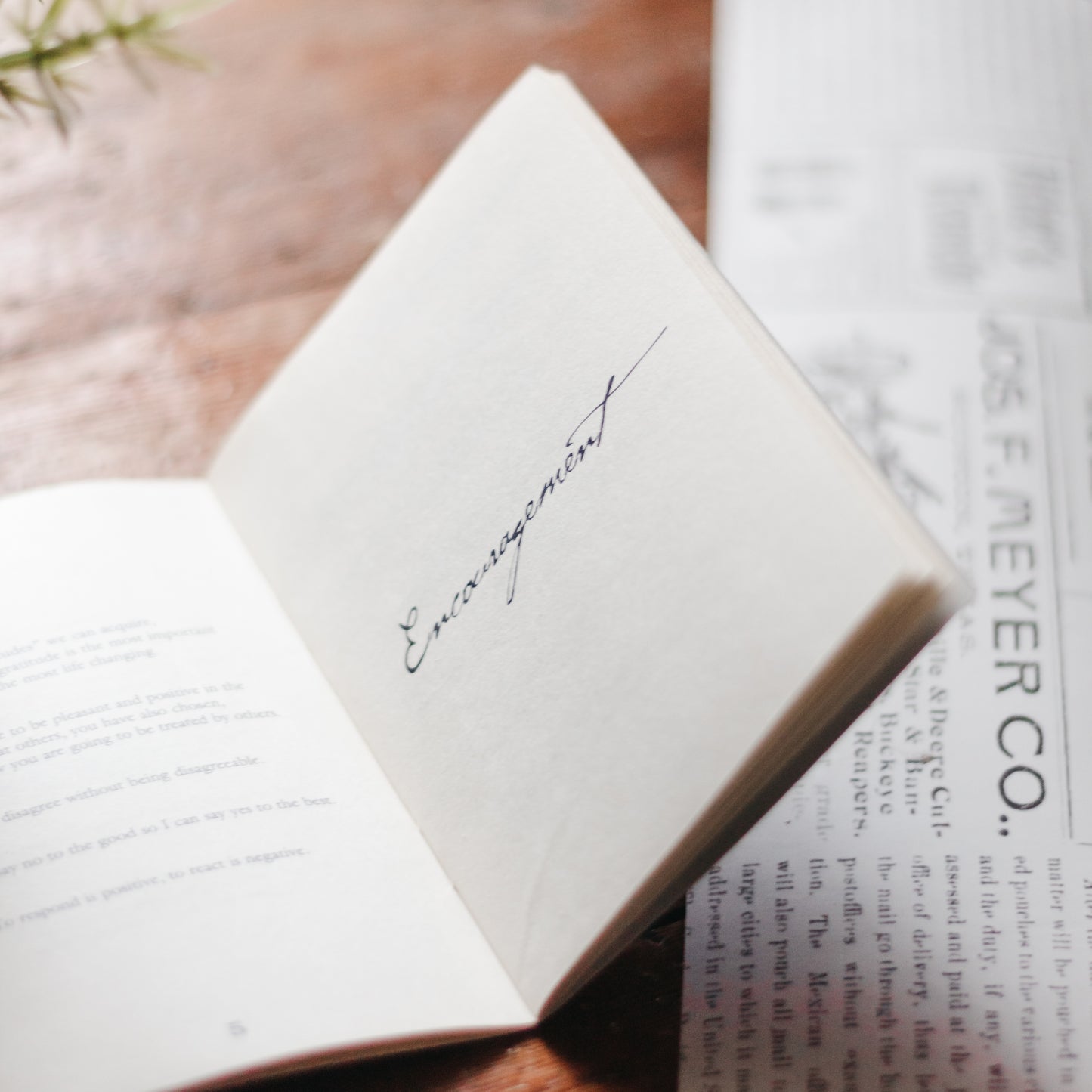 Little Book of Big Quotes | 10 pack